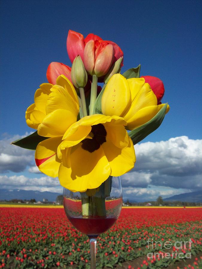Tulip bouquet Announces Springs Wine Photograph by Carol Riddle