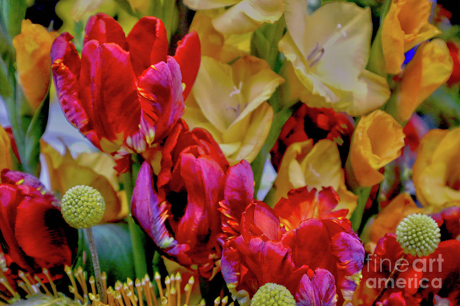 Tulip Bouquet Photograph by Sandy Moulder