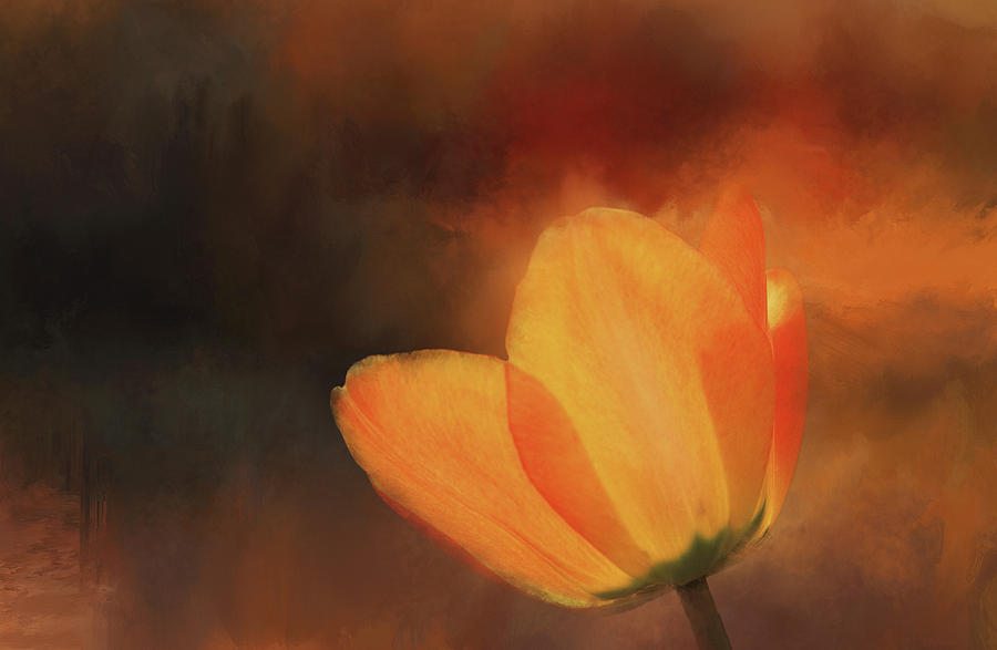 Tulip Close 2 Digital Art by Terry Davis