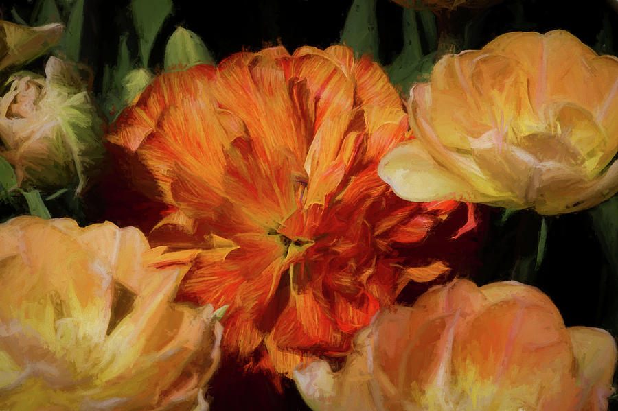 Tulip Digital Art - Tulip Color Explosion by Gary Rieks