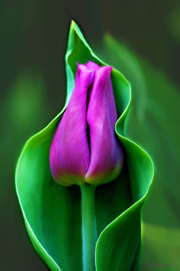 Tulip Cradled In Leaf Photograph by Michelle Joseph-Long