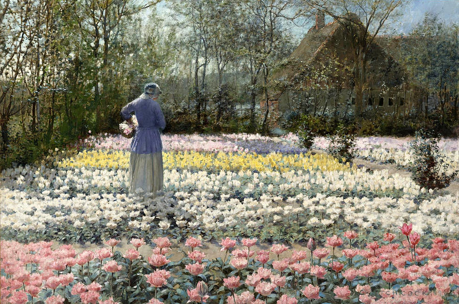 Tulip Culture Painting by George Hitchcock