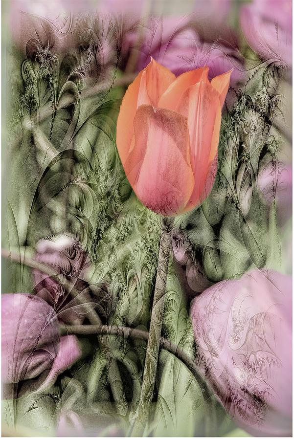 Tulip Digital Art - Tulip Dreams by Patsy Zedar