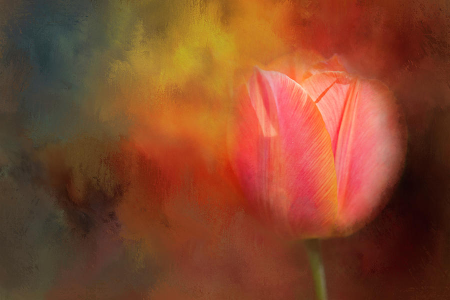 Tulip Emerging Digital Art by Terry Davis