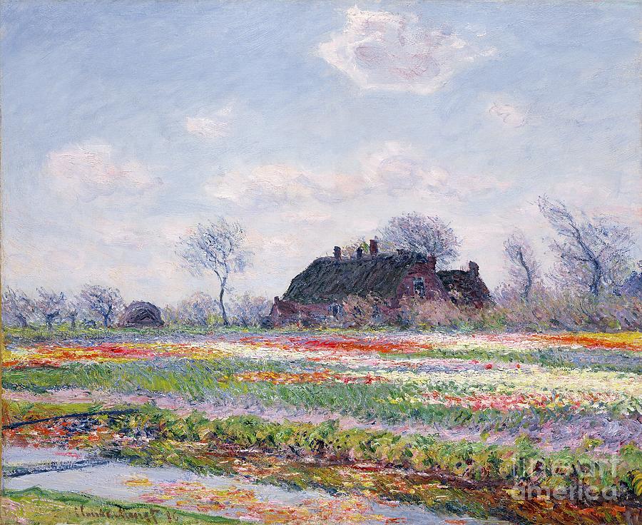 Tulip Fields at Sassenheim Painting by Claude Monet