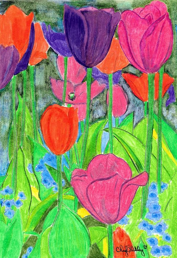 Tulip Fields Drawing by Cheryl Shibley