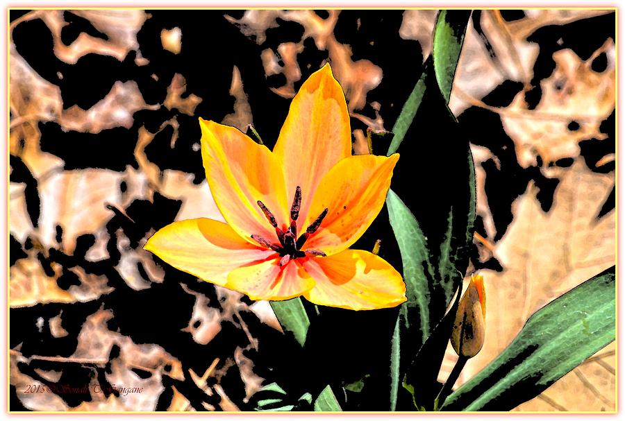 Tulip Greetings Digital Art by Sonali Gangane