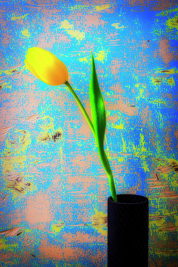 Tulip In Black Vase Photograph by Garry Gay