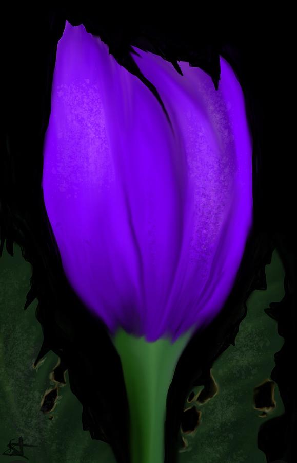 Tulip  Digital Art by Kathleen Hromada