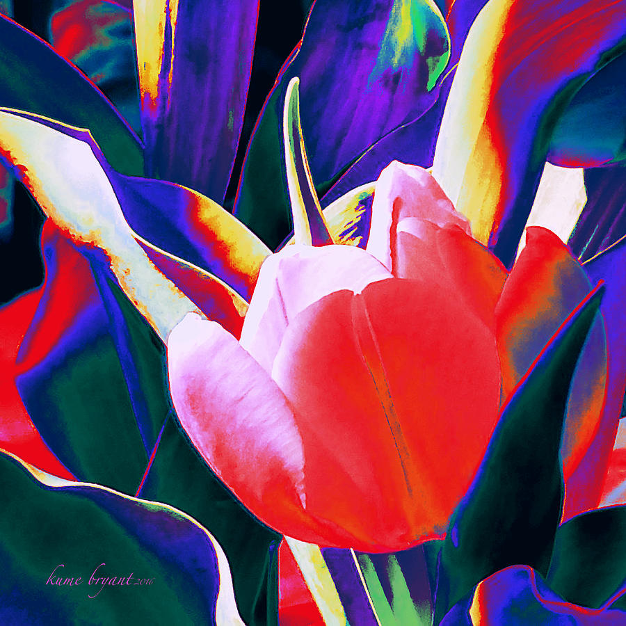 Tulip Kisses Abstract 1 Mixed Media by Kume Bryant