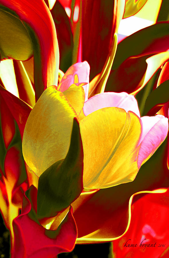 Tulip Kisses Abstract 4 Mixed Media by Kume Bryant