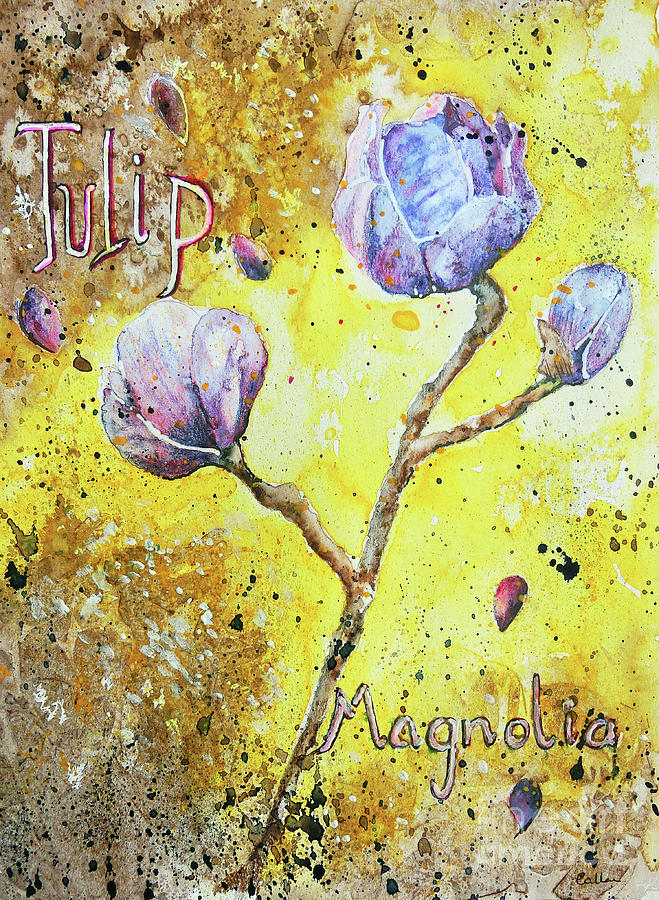 Tulip Magnolia Painting By Callan Art Fine Art America