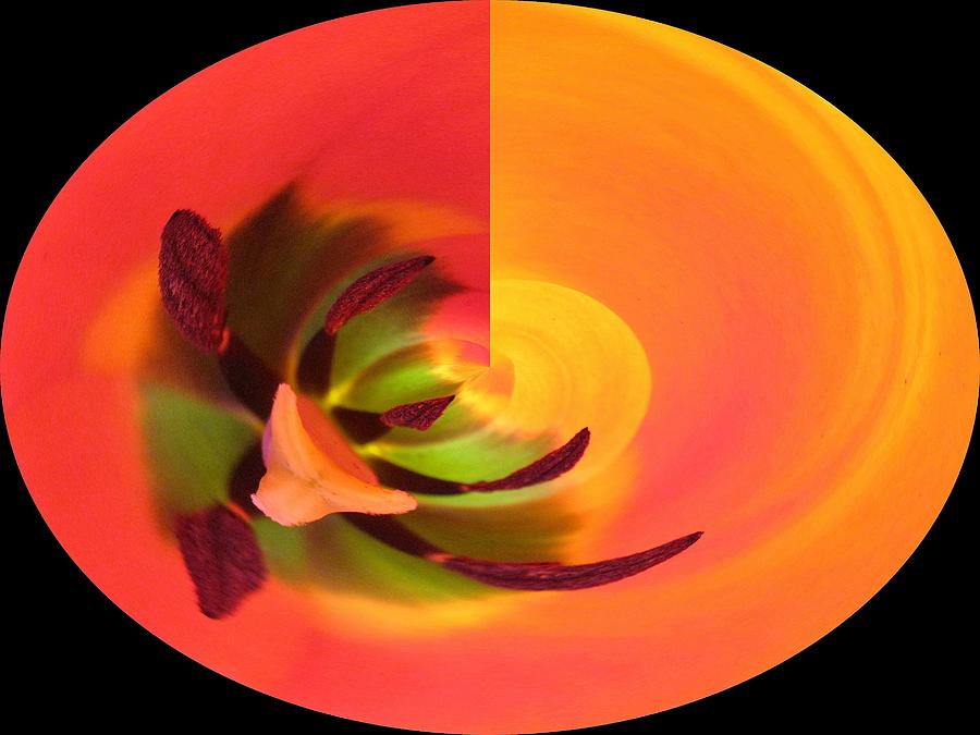 Abstract Photograph - Tulip Mystery by Carolyn Jacob