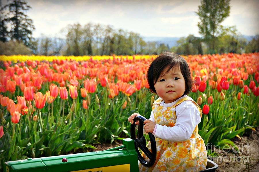 Tulip Princess Photograph