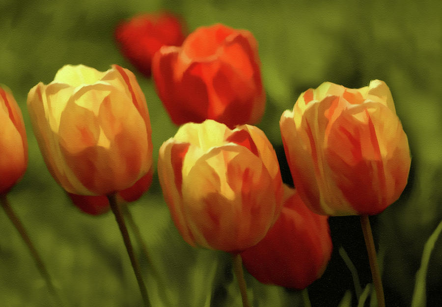 Tulip Digital Art - Tulip Surprise by Georgiana Romanovna