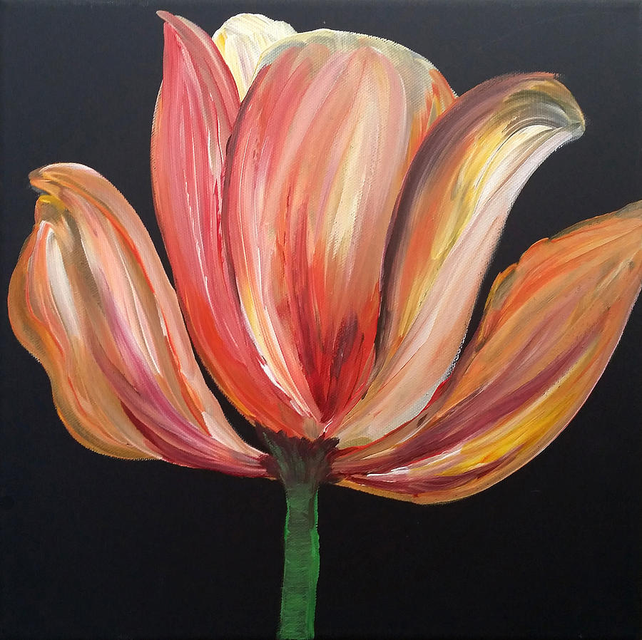 Tulip Painting - Tulip by Tracy Delfar