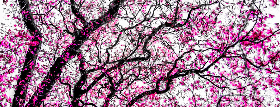 Tulip Tree Abstracted 2 Photograph by Michael Arend