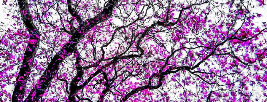 Tulip Tree Abstracted 3 Photograph by Michael Arend