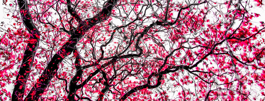 Tulip Tree Abstracted 4 Photograph by Michael Arend