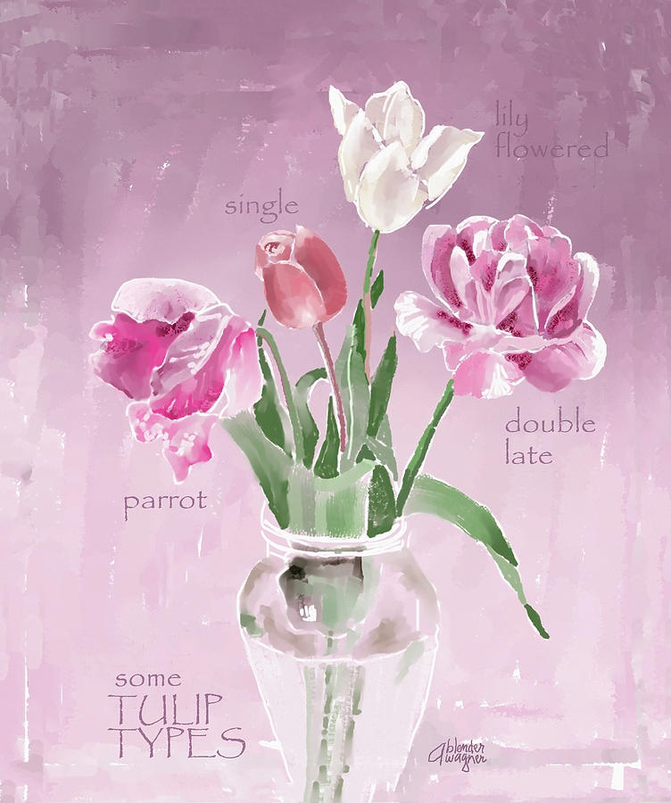 Tulip Types Digital Art by Arline Wagner