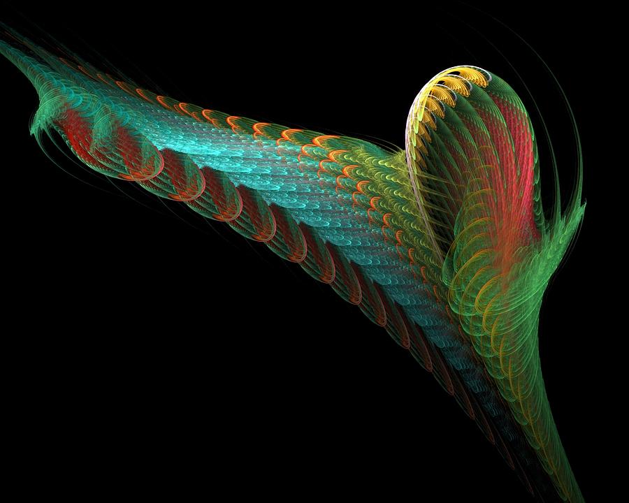 Tulip wing Digital Art by Rick Chapman