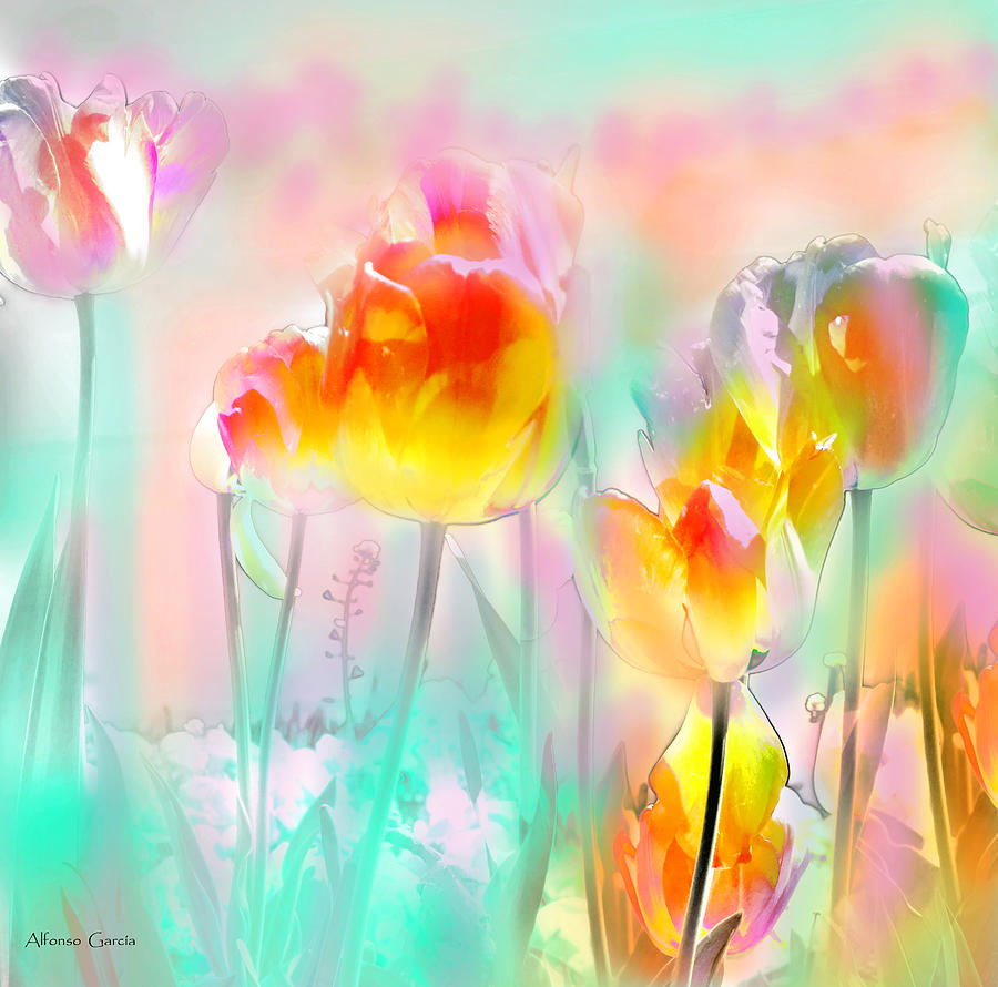Tulipanes de Largo Photograph by Alfonso Garcia