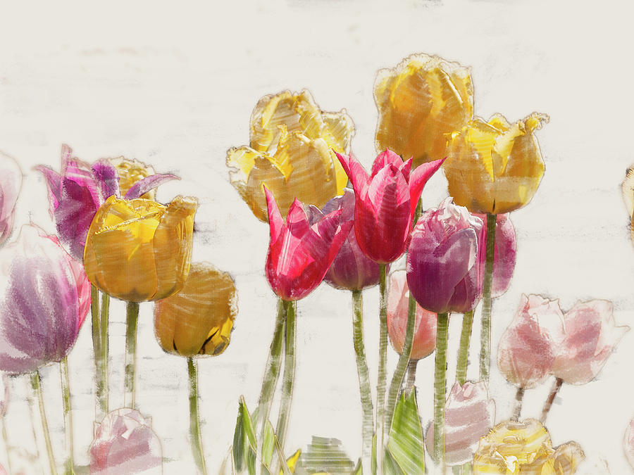 Tulipe Digital Art by Mark Mille
