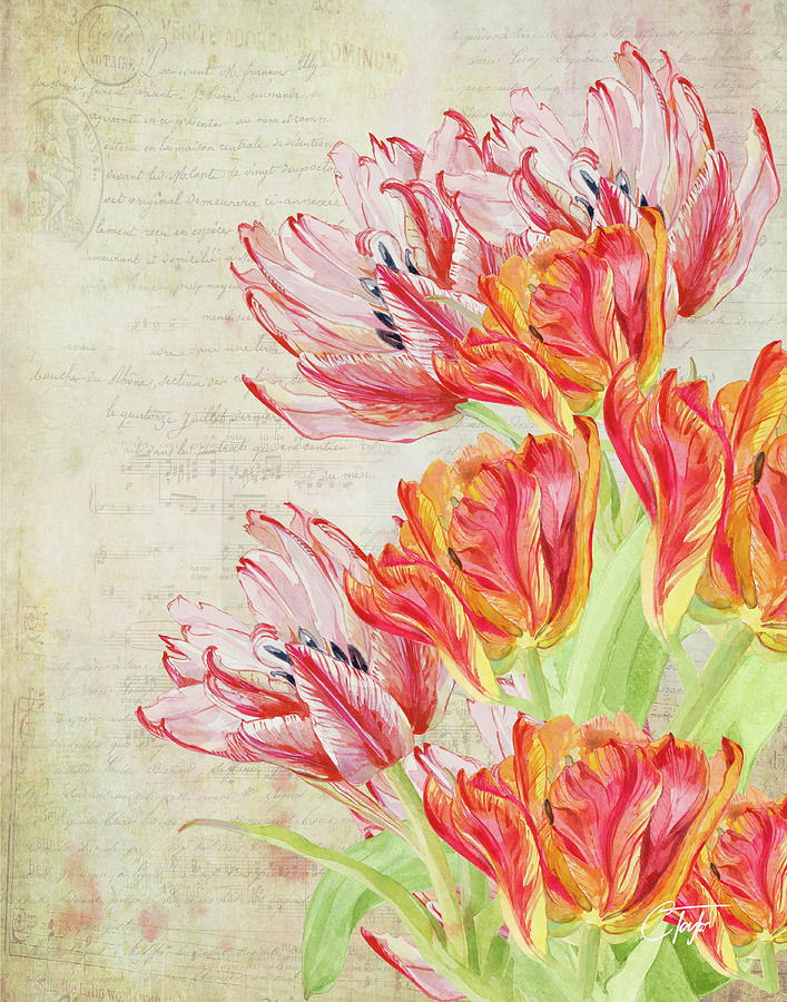 Tulipes du Jardin Mixed Media by Colleen Taylor