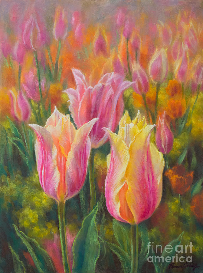 Tulip Pastel - Tulipomania 6 Blushing Beauties by Fiona Craig