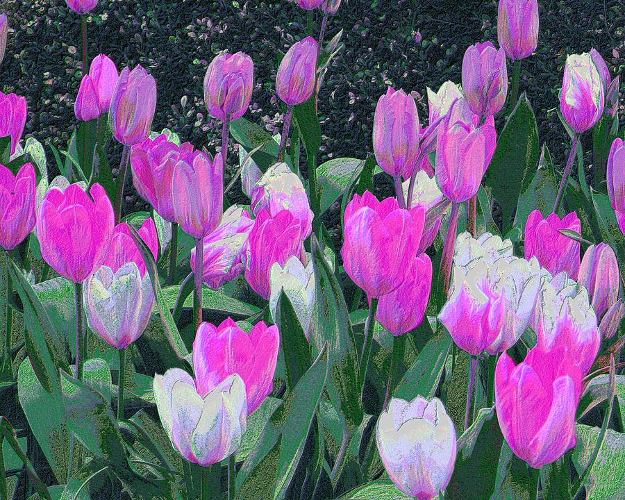 Tulips 327dp Digital Art by Brian Gryphon