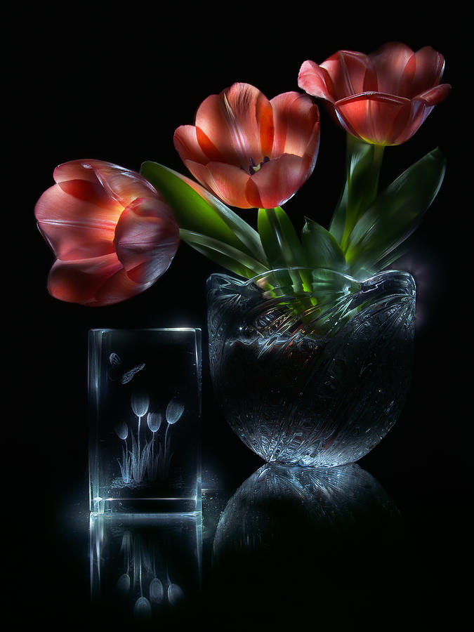 Tulips Photograph by Alexey Kljatov