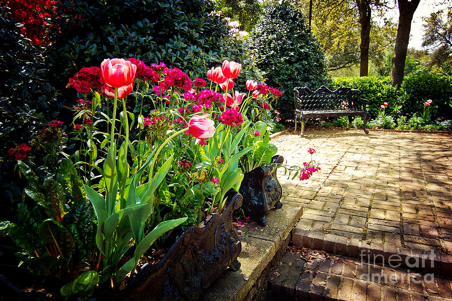 Spring Photograph - Tulips and Bench by Joan McCool