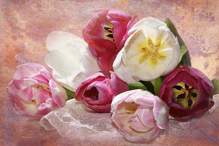 Tulips And Lace Photograph by Phyllis Denton