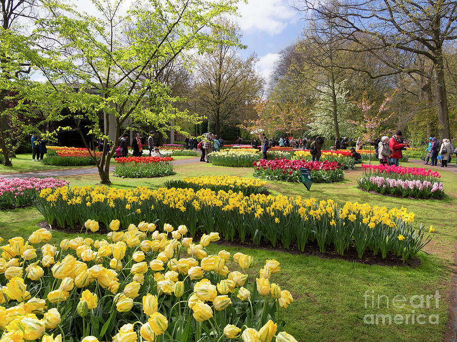 Tulips and other spring bulbs at Keukenhof Gardens Holland Photograph by Louise Heusinkveld
