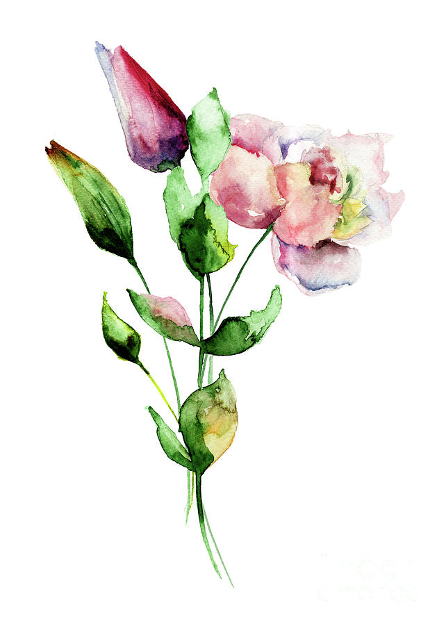 Tulips and Peony flowers Painting by Regina Jershova