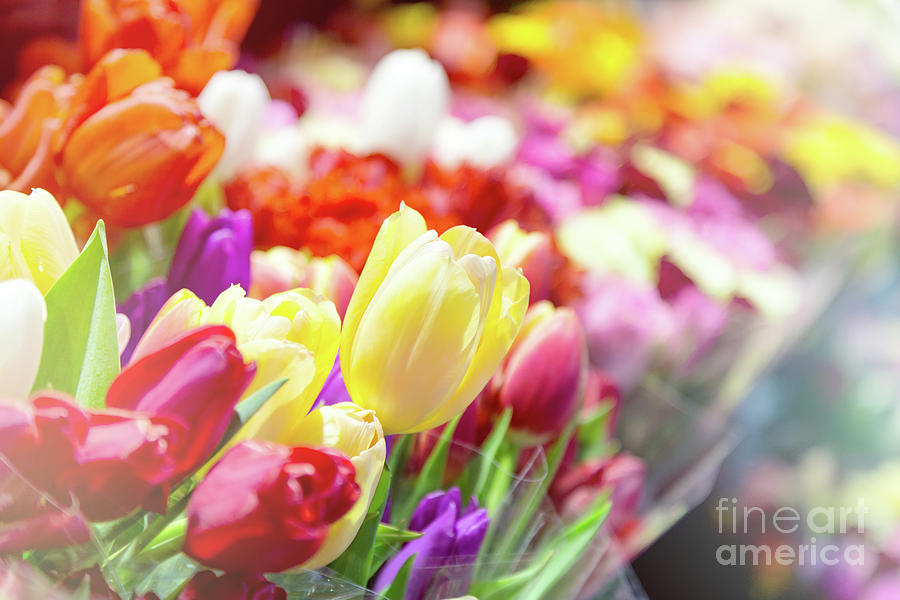 Tulips at a flower market Photograph by Jane Rix