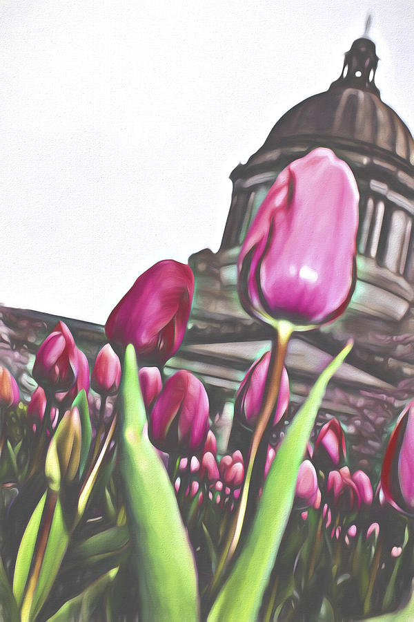 Tulips at the Capitol 2 Digital Art by Cathy Anderson