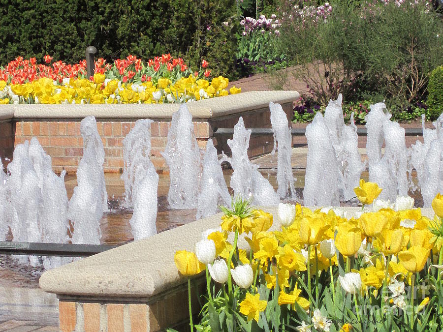Tulips by the Fountain Photograph by Kathie Chicoine