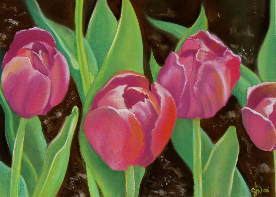 Tulips Pastel by Candice Wright - Fine Art America