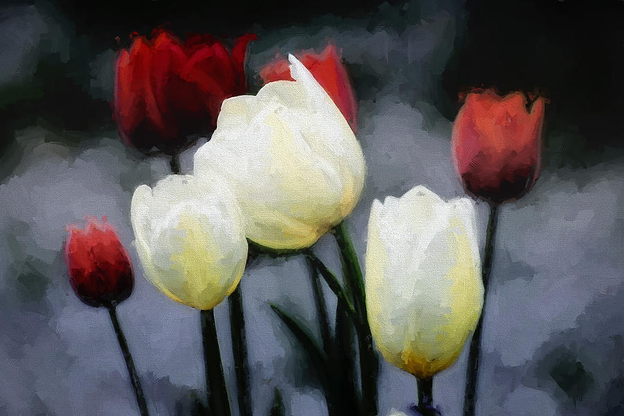 Tulips Digital Painting  Digital Art by Cathy Anderson