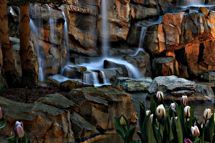 Waterfall Photograph - Tulips Episode 4 by Brad Walters