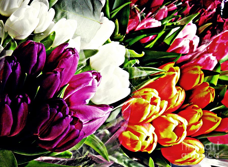 Tulip Photograph - Tulips For Sale 2 by Sarah Loft