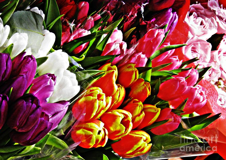 Tulips For Sale Photograph by Sarah Loft