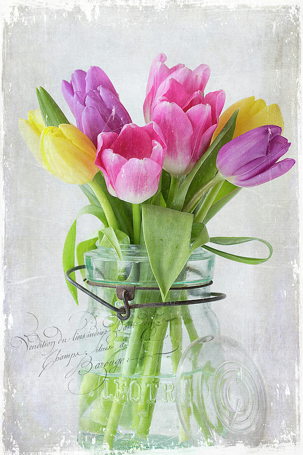 Tulips in a Jar Photograph by Cindi Ressler