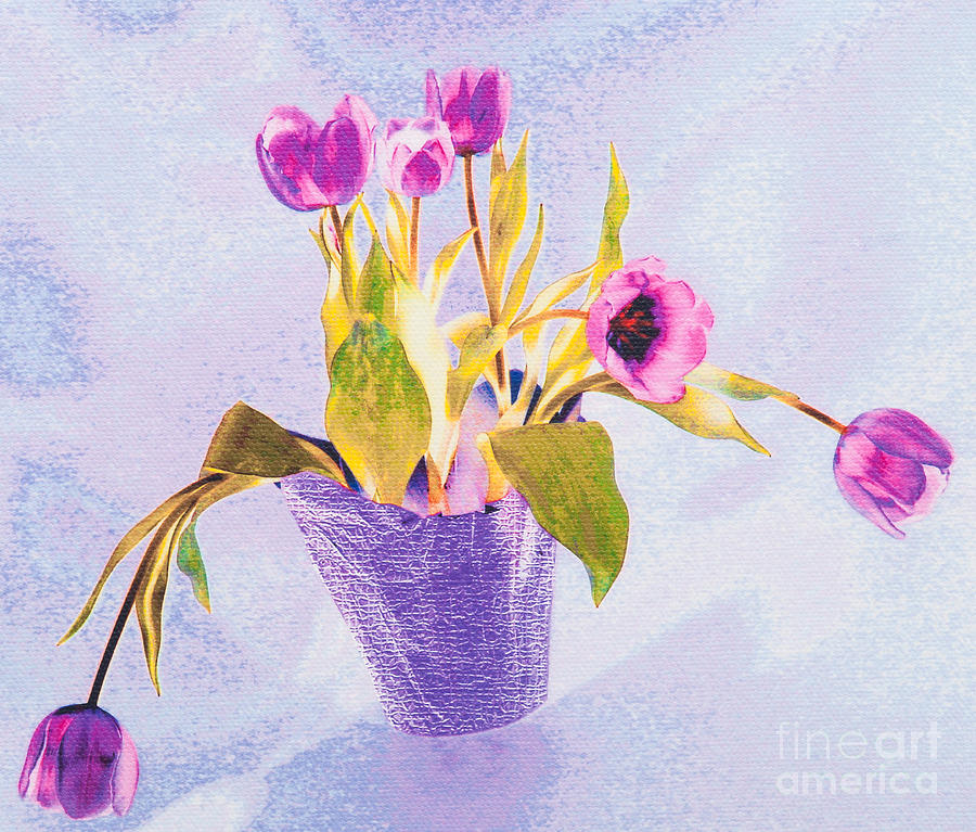 Tulips In A Pot Photograph by Diane Macdonald