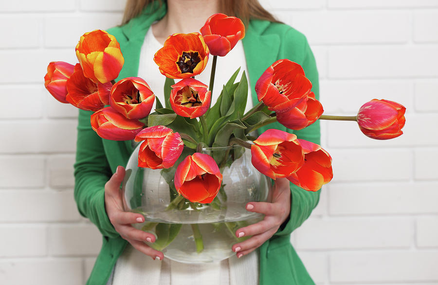 Tulips In A Vase Photograph