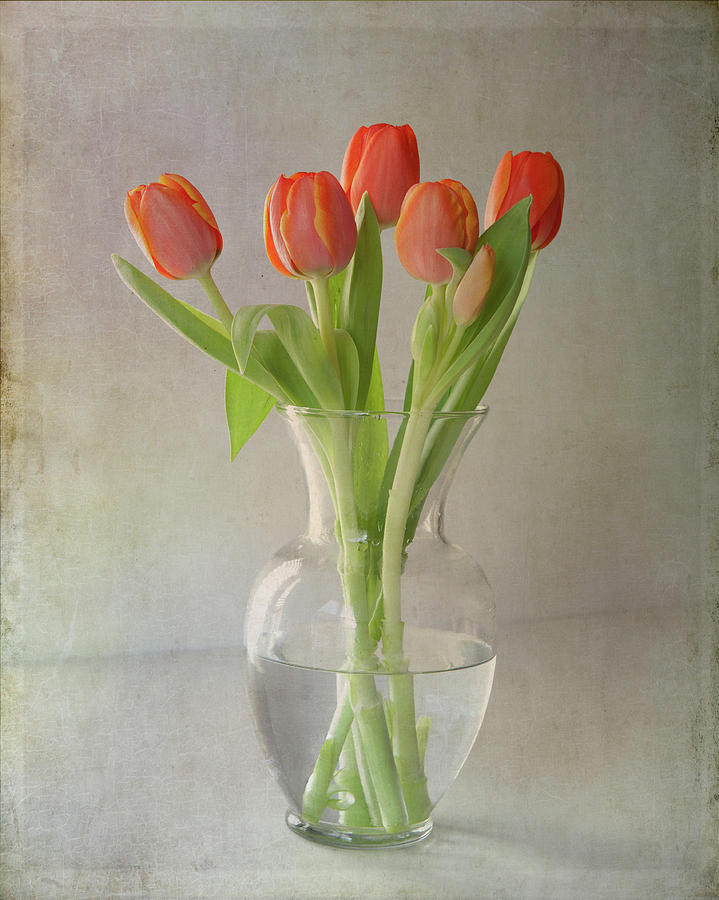 Как сохранить дольше свежие тюльпаны в вазе. Тюльпаны в вазе. Тюльпаны в вазочке. Красивые тюльпаны в вазе. Букет тюльпанов в вазе.