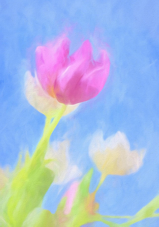 Tulips in Abstract Digital Art by Cathy Anderson