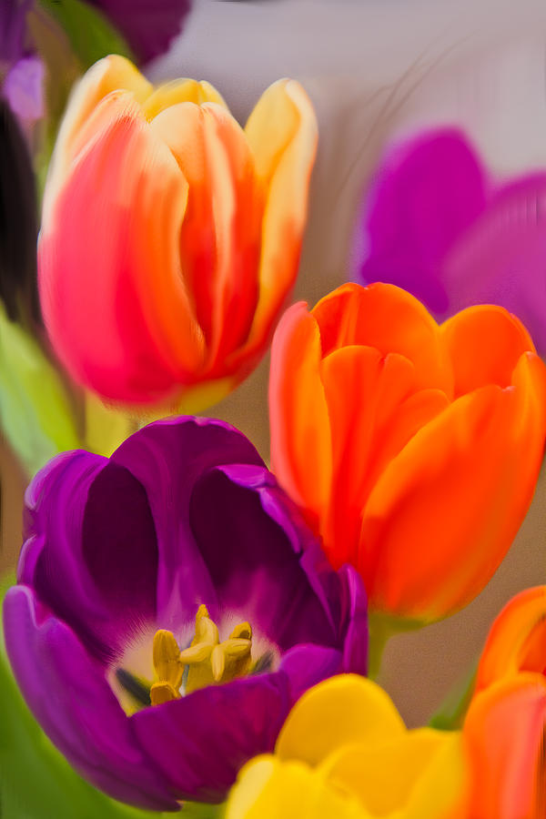 Tulips in Color Photograph by Joni Eskridge