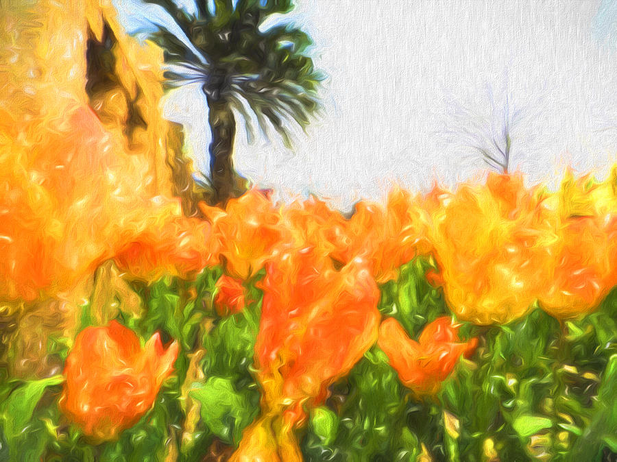Tulips in orange Digital Art by Cathy Anderson